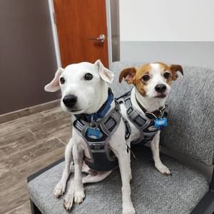 Meet your Posher, Johnny